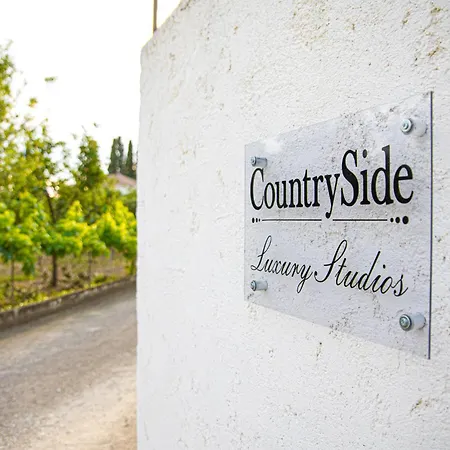 Countryside Luxury 乡村民宿 *